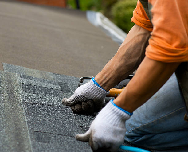 Quick and Trustworthy Emergency Roof Repair Services in East Tawas, MI